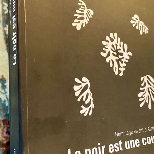 Le noir est une couleur book like new, French