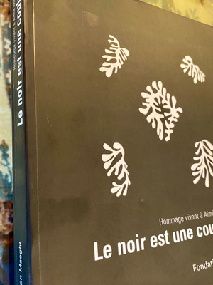 Le noir est une couleur book like new, French