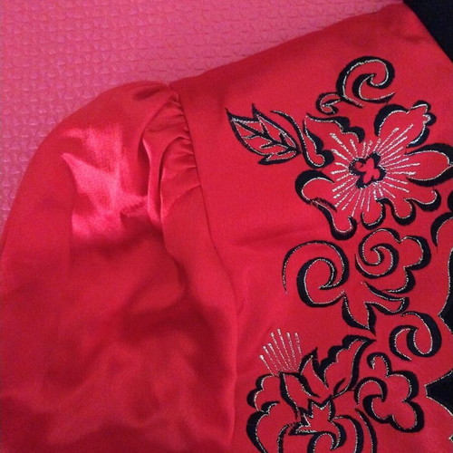 Far East Women's Carnival Costume like new