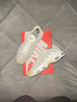 Nike Tn Air Max Plus 2021 White