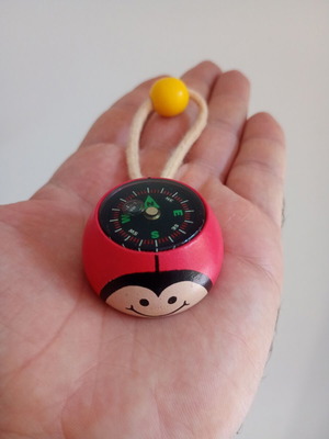 Wooden compass