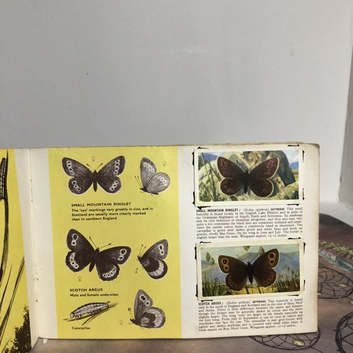 Brooke Bond Album and Cards used, complete British Butterflies set of 50