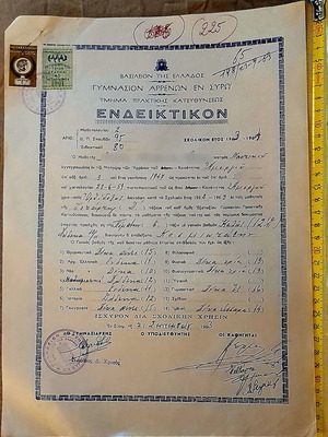 Gymnasion Arrenon Syrou Practical Direction School Report 1963-1964
