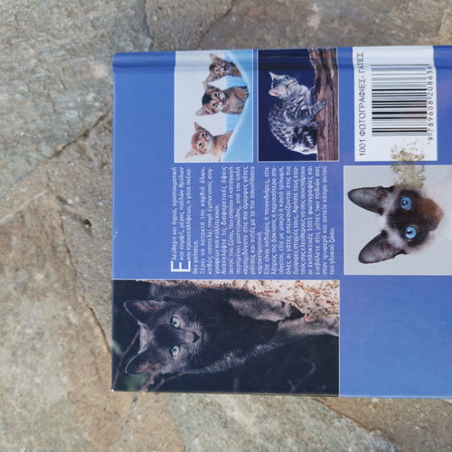 Book 1001 Cats without damage