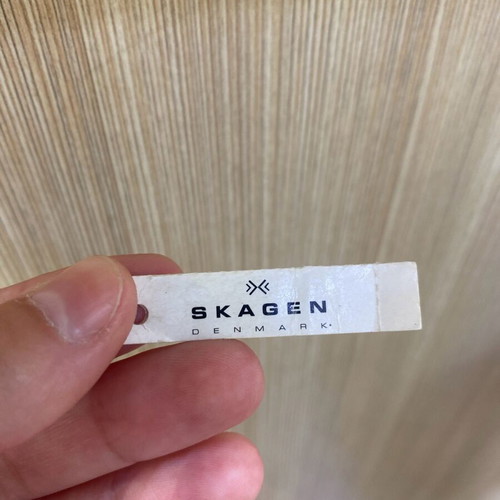 Skagen watch stainless steel with Swarovski crystals new, silver