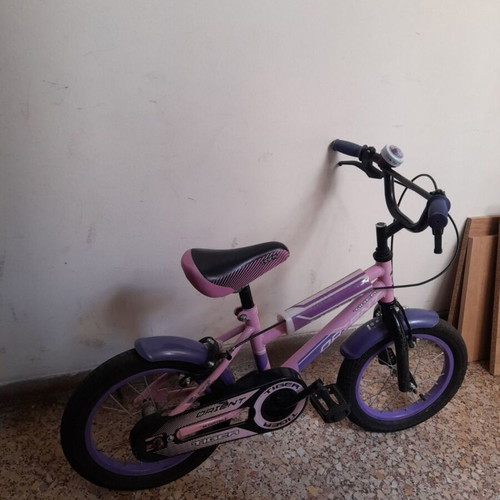 Orient 14 inch bicycle with training wheels