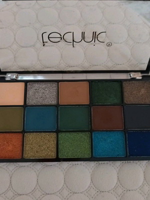 Technic Cosmetic Spirit Guide eyeshadow palette like new, 15 colors
