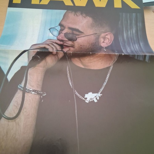 Little Mix Hawk poster, new