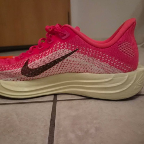 Nike Pegasus Plus running shoes, multicolor, size 44.5