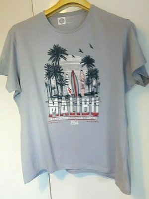 Cedar Wood State Bermuda T-Shirt used, size Large, gray