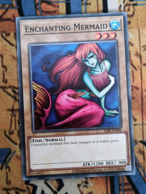 Enchanting Mermaid κάρτα Yu-Gi-Oh! σαν καινούργιο Normal Monster