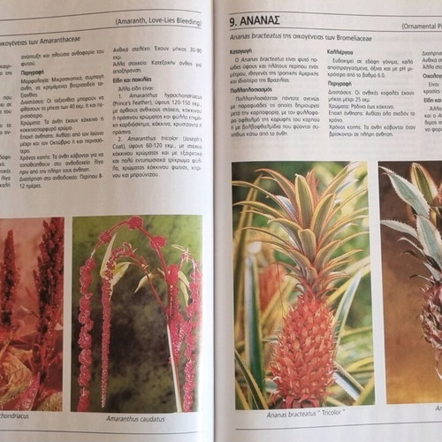 Guide to Floriculture 4 volumes like new, set