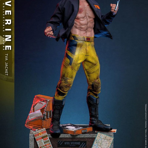 Hot Toys Wolverine TVA Jacket Version 1/6 Scale new