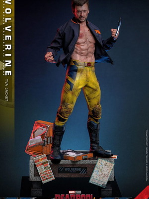 Hot Toys Wolverine TVA Jacket Version 1/6 Scale new