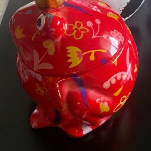 Decorative frog biscuit jar new