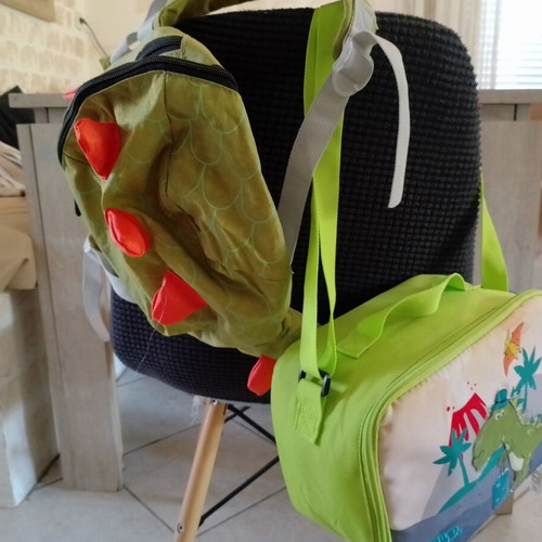 Insulated lunch bag and small backpack like new
