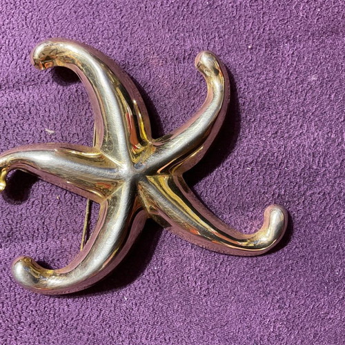 Pin in star shape with beautiful details