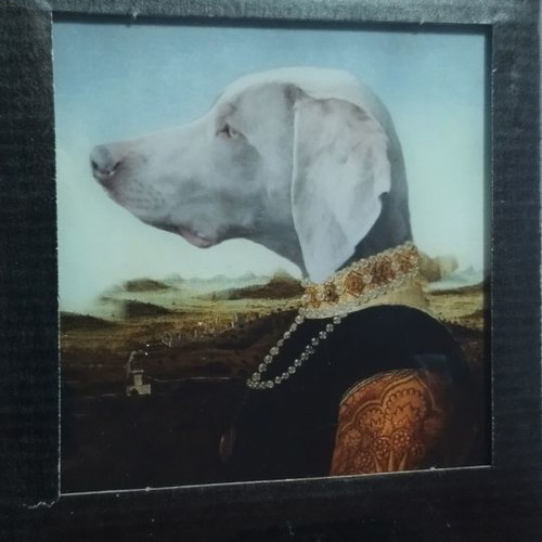Lumas Art Dog sealed, dimensions 14cm x 18cm