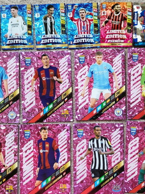 Panini FIFA 365 Cards new