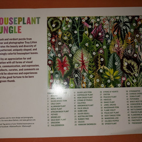 Galison Houseplant Jungle 1000-piece puzzle