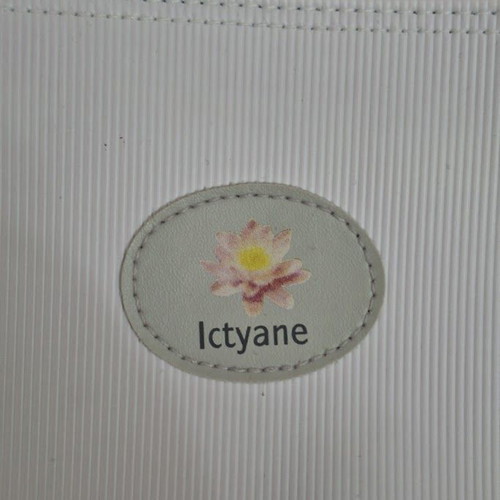 Ictyane cosmetic bag like new, white, PVC
