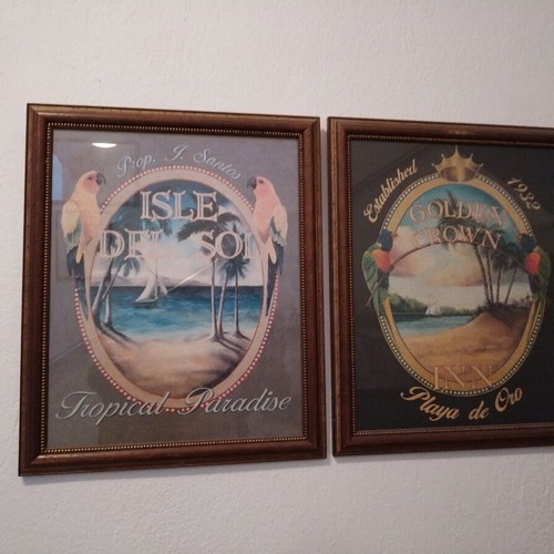 Art prints like new with tropical theme collectible