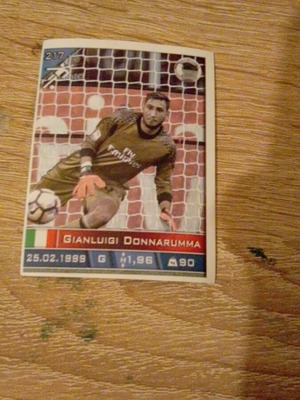 Europe's Champions Gianluigi Donnarumma Sticker new