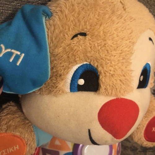 Fisher Price educational sound puppy used