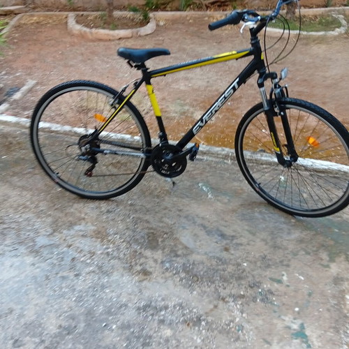 Everest Trail-cross 28 trekking bike, men's, gears