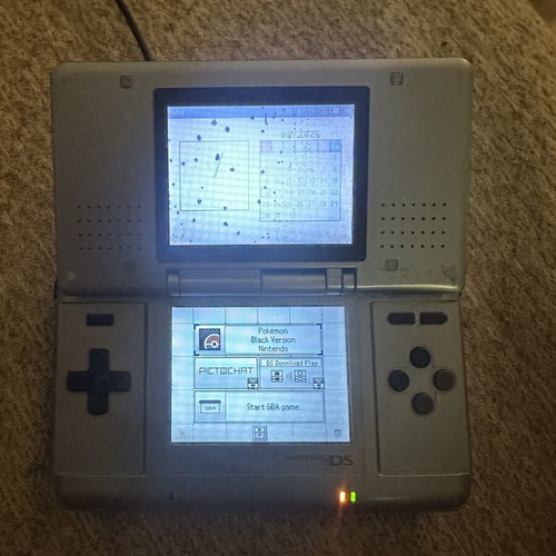 Nintendo DS console