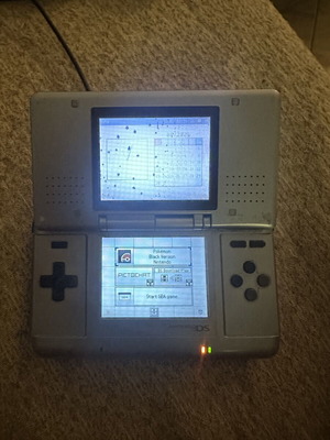 Nintendo DS console