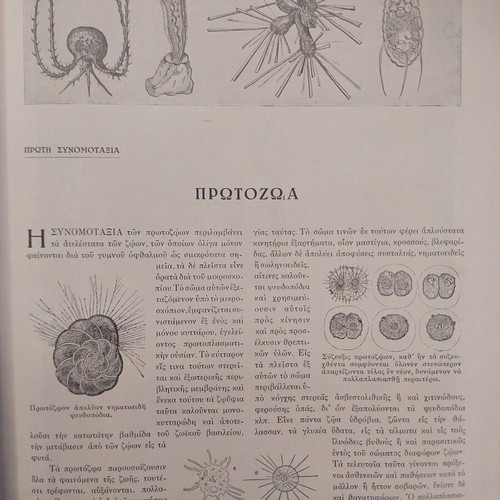 O Bios ton Zoon book used, Eleftheroudakis edition 1932