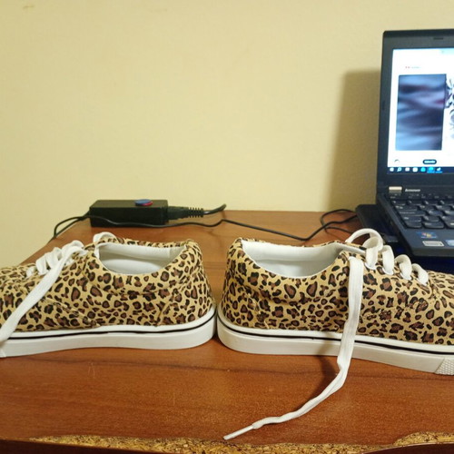 Sinsay Jaguar women's shoes size 38 like new, colorful