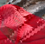  πακέτο φόρμες για κορίτσια 4-6 χρονών
