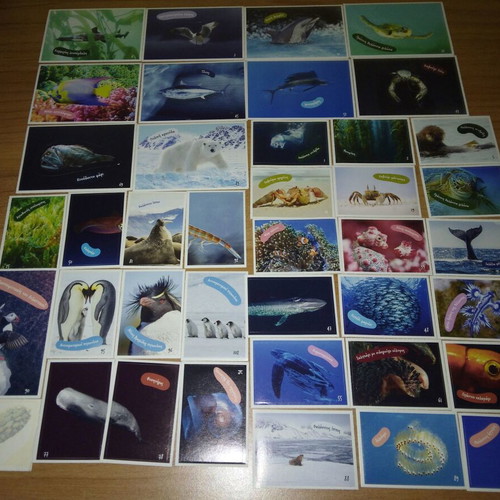 AB Vasilopoulos Exploring the Ocean sticker set with 39 stickers and 2 tattoos