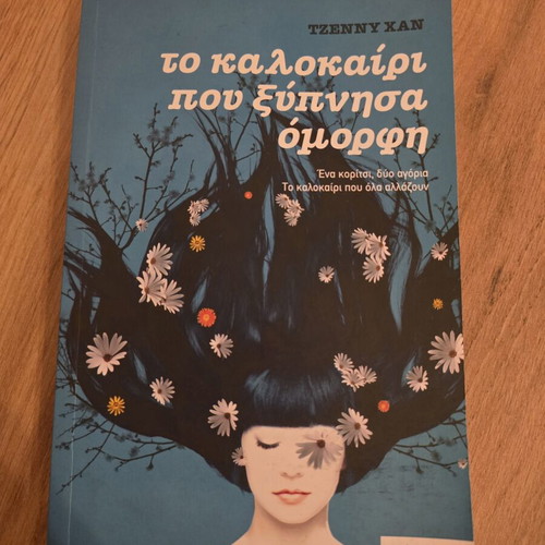 The Summer I Woke Up Beautiful book 1 novel