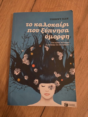 The Summer I Woke Up Beautiful book 1 novel
