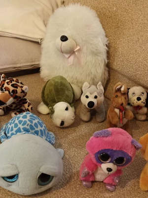 Children's plush toys pack used, including two TY brand