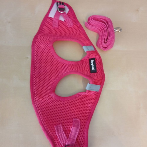 DogFed pink step-in dog harness with leash like new