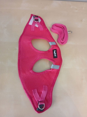 DogFed pink step-in dog harness with leash like new