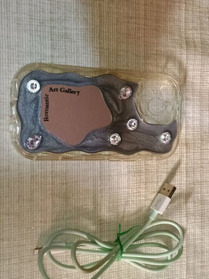 Art Gallery Romantic iPhone 15-2HL case set with USB cable new