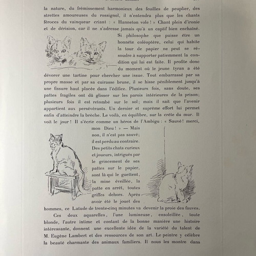 Lithography used with cats by Louis-Eugène Lambert