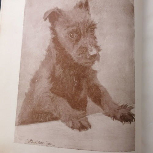 Pets and How to Keep Them book used