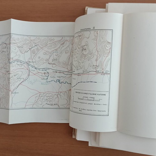 Ο Ελληνικός Στρατός εις την Σμύρνην, Μάιος 1919–Μάιος 1920