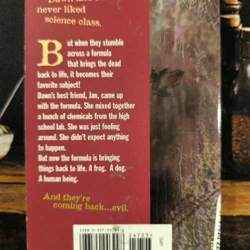 The Bad Girl book like new, Fear Street series 4