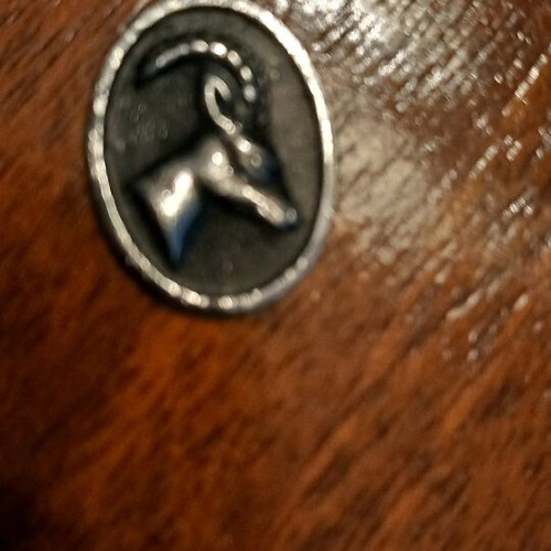 Zodiac Aries pendant like new