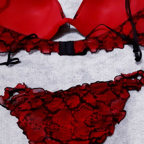 Zara sexy lingerie set 80B bra and M panties, new, animal prints red black