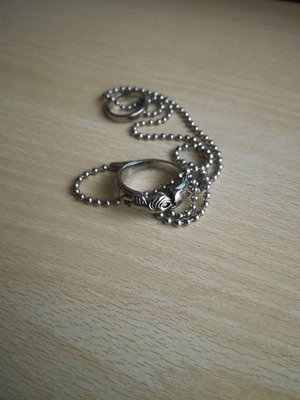 Final Fantasy Vlll medallion with lion head used