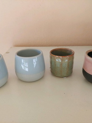 Small flower pots used for small plants