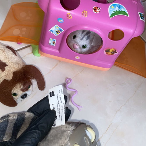 FurReal Friends Furry Frenzies Cruisin’ Carrier Playset used